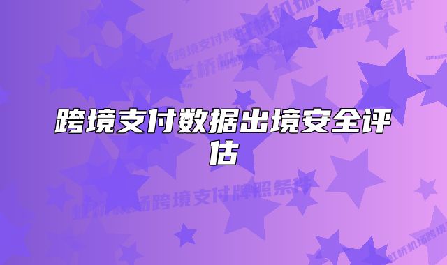 跨境支付数据出境安全评估