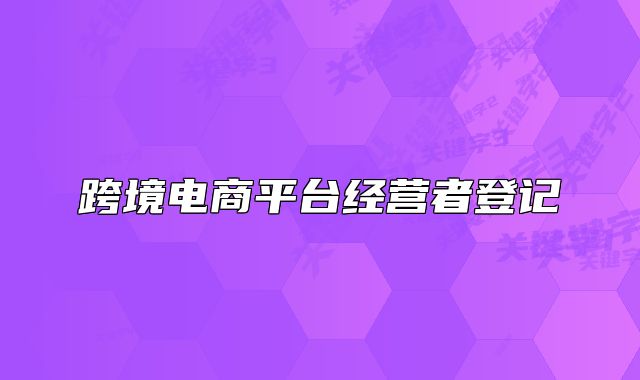 跨境电商平台经营者登记