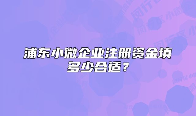浦东小微企业注册资金填多少合适？