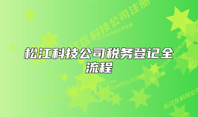 松江科技公司税务登记全流程