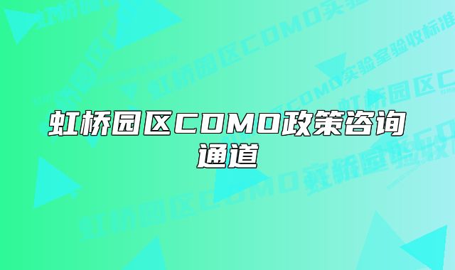 虹桥园区CDMO政策咨询通道