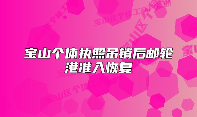 宝山个体执照吊销后邮轮港准入恢复