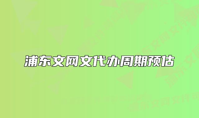 浦东文网文代办周期预估