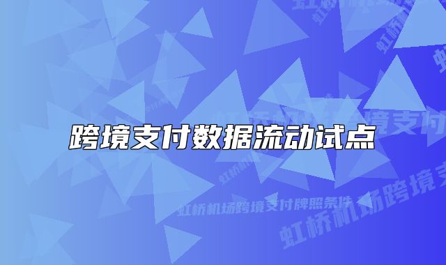 跨境支付数据流动试点