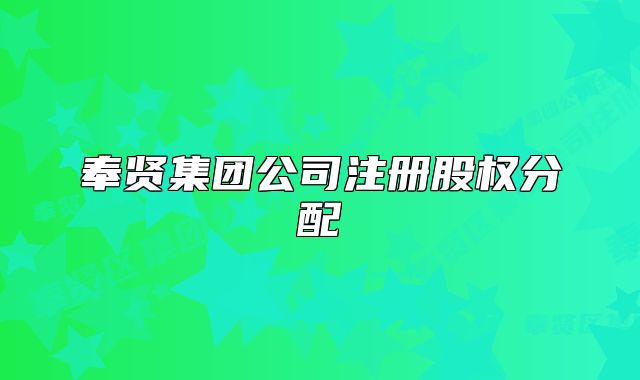 奉贤集团公司注册股权分配