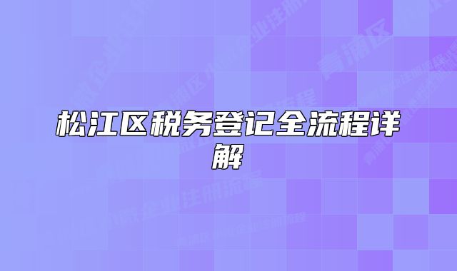 松江区税务登记全流程详解
