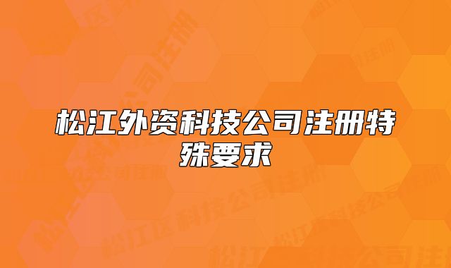 松江外资科技公司注册特殊要求