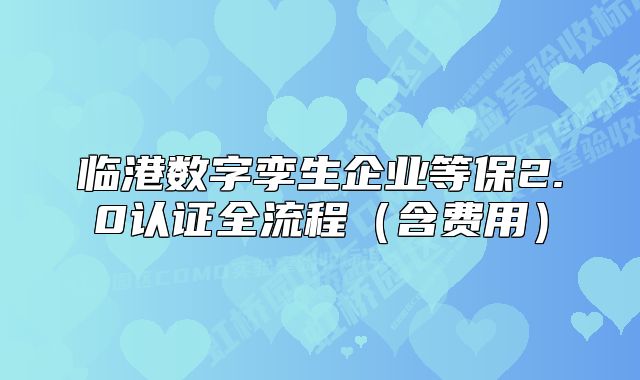 临港数字孪生企业等保2.0认证全流程（含费用）