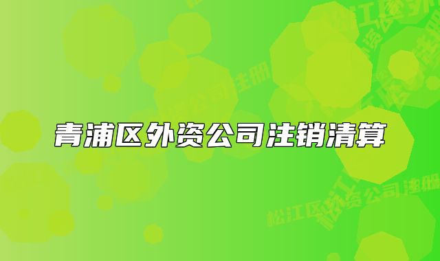 青浦区外资公司注销清算
