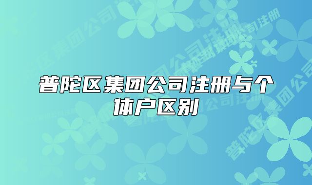普陀区集团公司注册与个体户区别