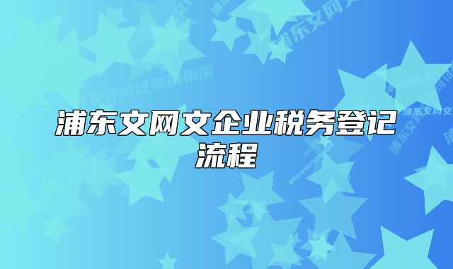 浦东文网文企业税务登记流程