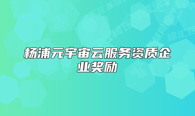 杨浦元宇宙云服务资质企业奖励