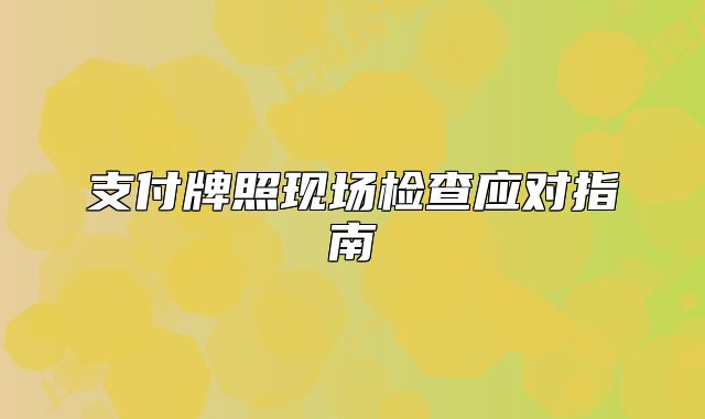 支付牌照现场检查应对指南