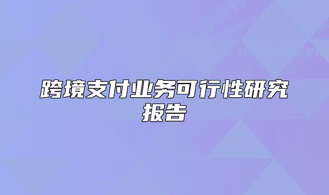 跨境支付业务可行性研究报告
