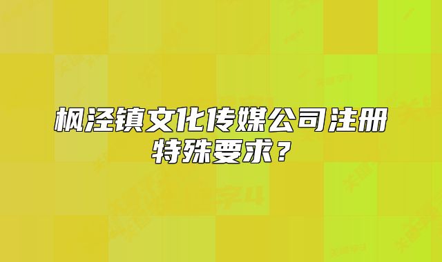 枫泾镇文化传媒公司注册特殊要求?
