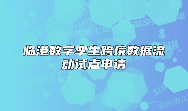 临港数字孪生跨境数据流动试点申请