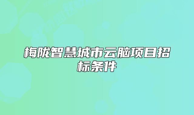 梅陇智慧城市云脑项目招标条件