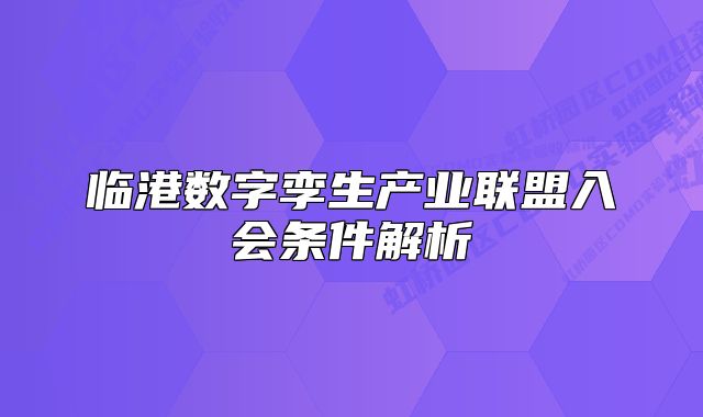 临港数字孪生产业联盟入会条件解析