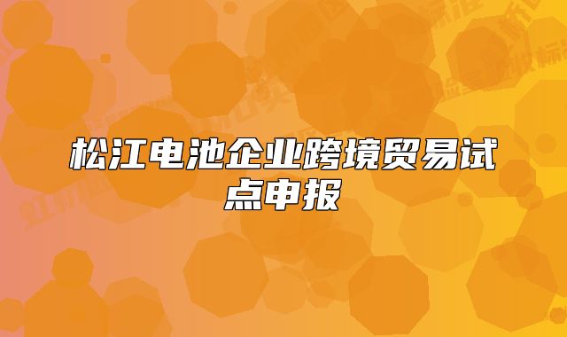 松江电池企业跨境贸易试点申报