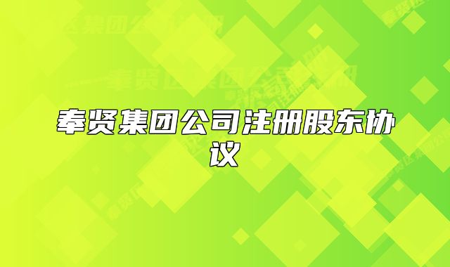 奉贤集团公司注册股东协议