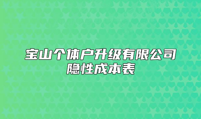宝山个体户升级有限公司隐性成本表