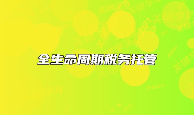 全生命周期税务托管