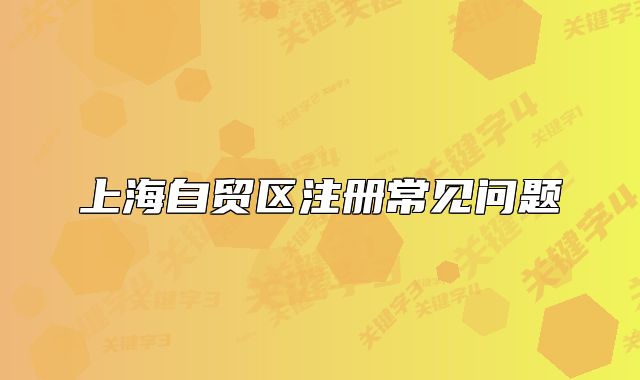 上海自贸区注册常见问题