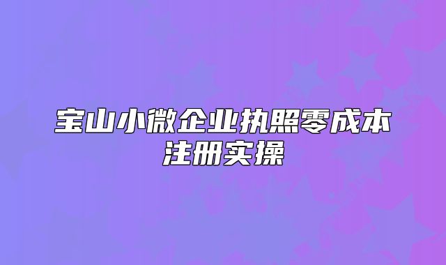 宝山小微企业执照零成本注册实操