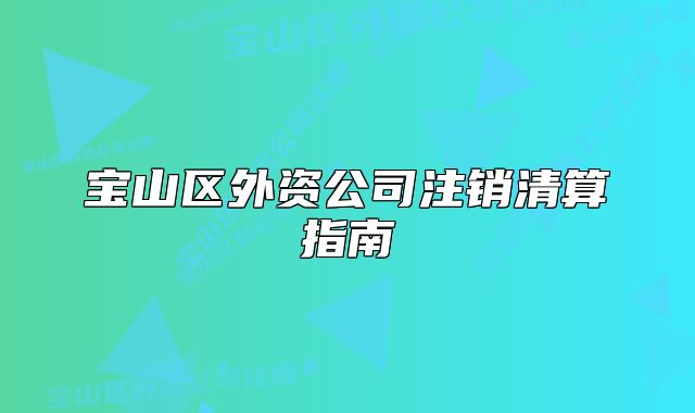 宝山区外资公司注销清算指南
