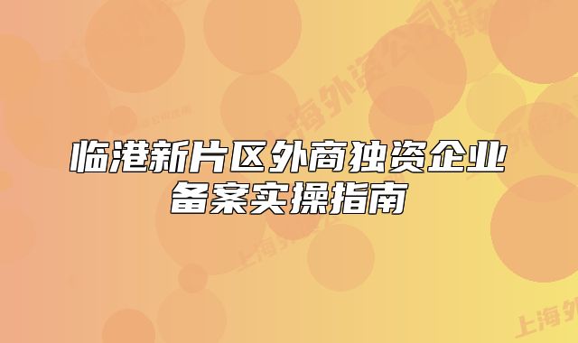 临港新片区外商独资企业备案实操指南