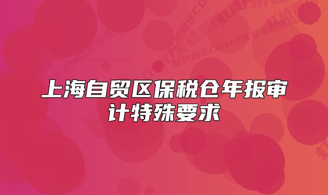 上海自贸区保税仓年报审计特殊要求