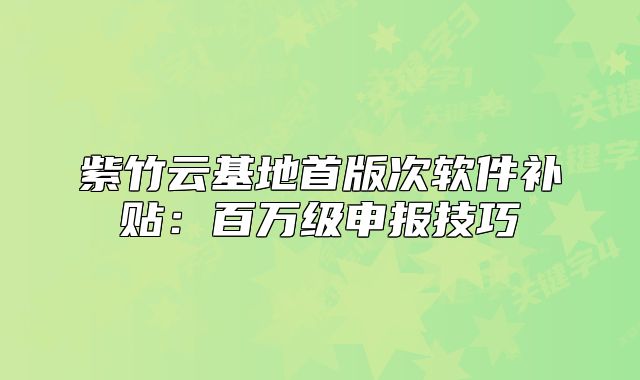 紫竹云基地首版次软件补贴:百万级申报技巧