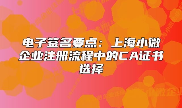 电子签名要点：上海小微企业注册流程中的CA证书选择