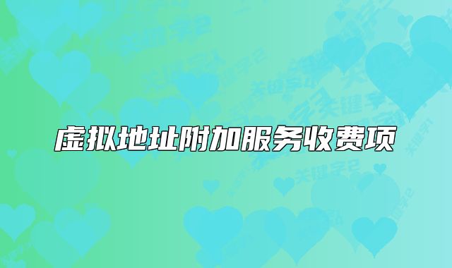 虚拟地址附加服务收费项