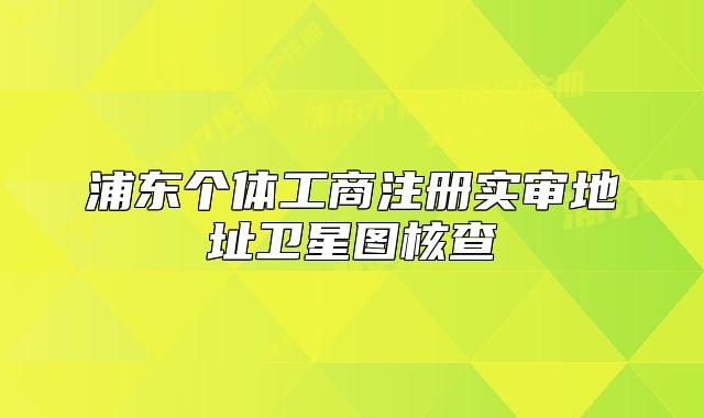 浦东个体工商注册实审地址卫星图核查
