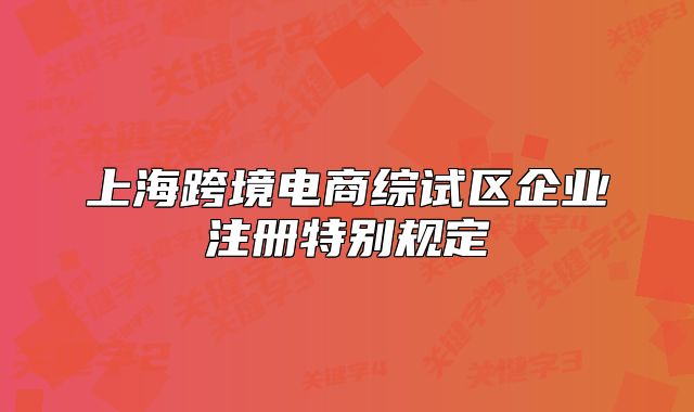 上海跨境电商综试区企业注册特别规定
