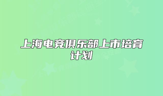 上海电竞俱乐部上市培育计划