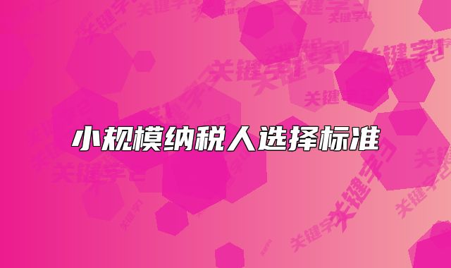小规模纳税人选择标准
