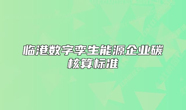 临港数字孪生能源企业碳核算标准
