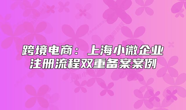 跨境电商:上海小微企业注册流程双重备案案例