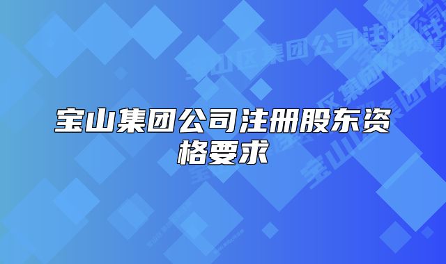 宝山集团公司注册股东资格要求