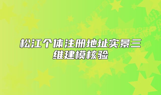 松江个体注册地址实景三维建模核验