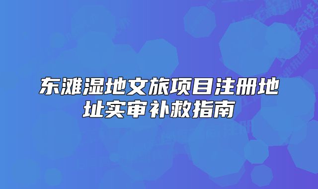 东滩湿地文旅项目注册地址实审补救指南