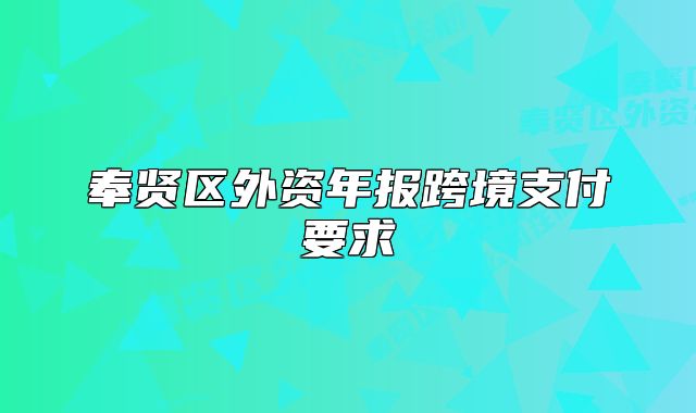 奉贤区外资年报跨境支付要求