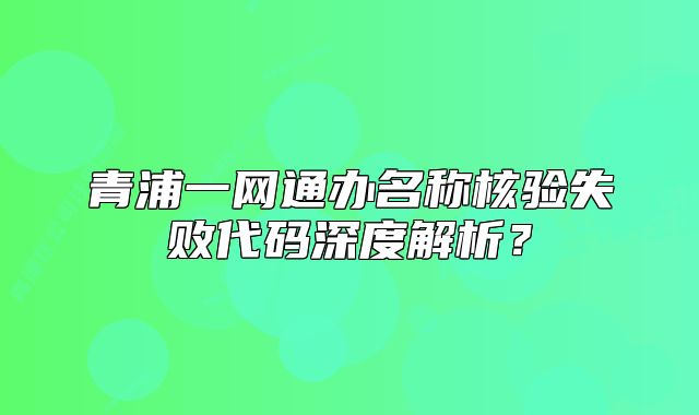 青浦一网通办名称核验失败代码深度解析?