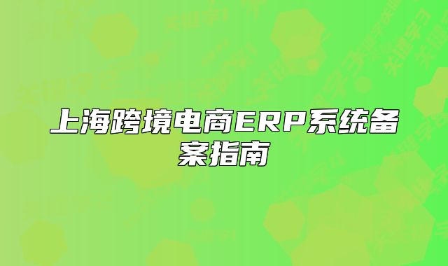 上海跨境电商ERP系统备案指南