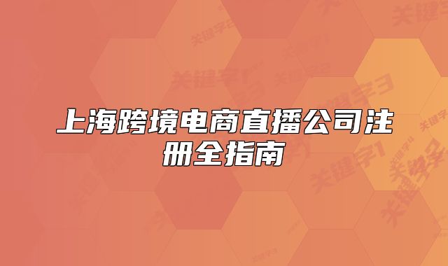 上海跨境电商直播公司注册全指南