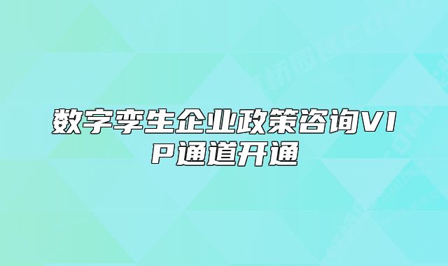 数字孪生企业政策咨询VIP通道开通