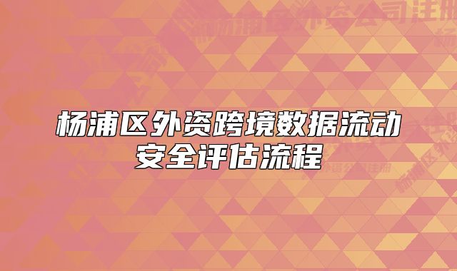 杨浦区外资跨境数据流动安全评估流程