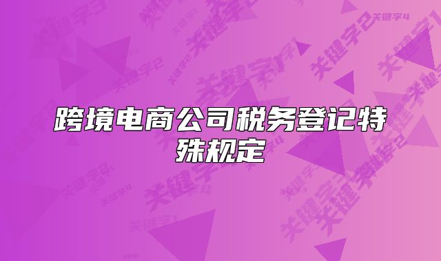 跨境电商公司税务登记特殊规定